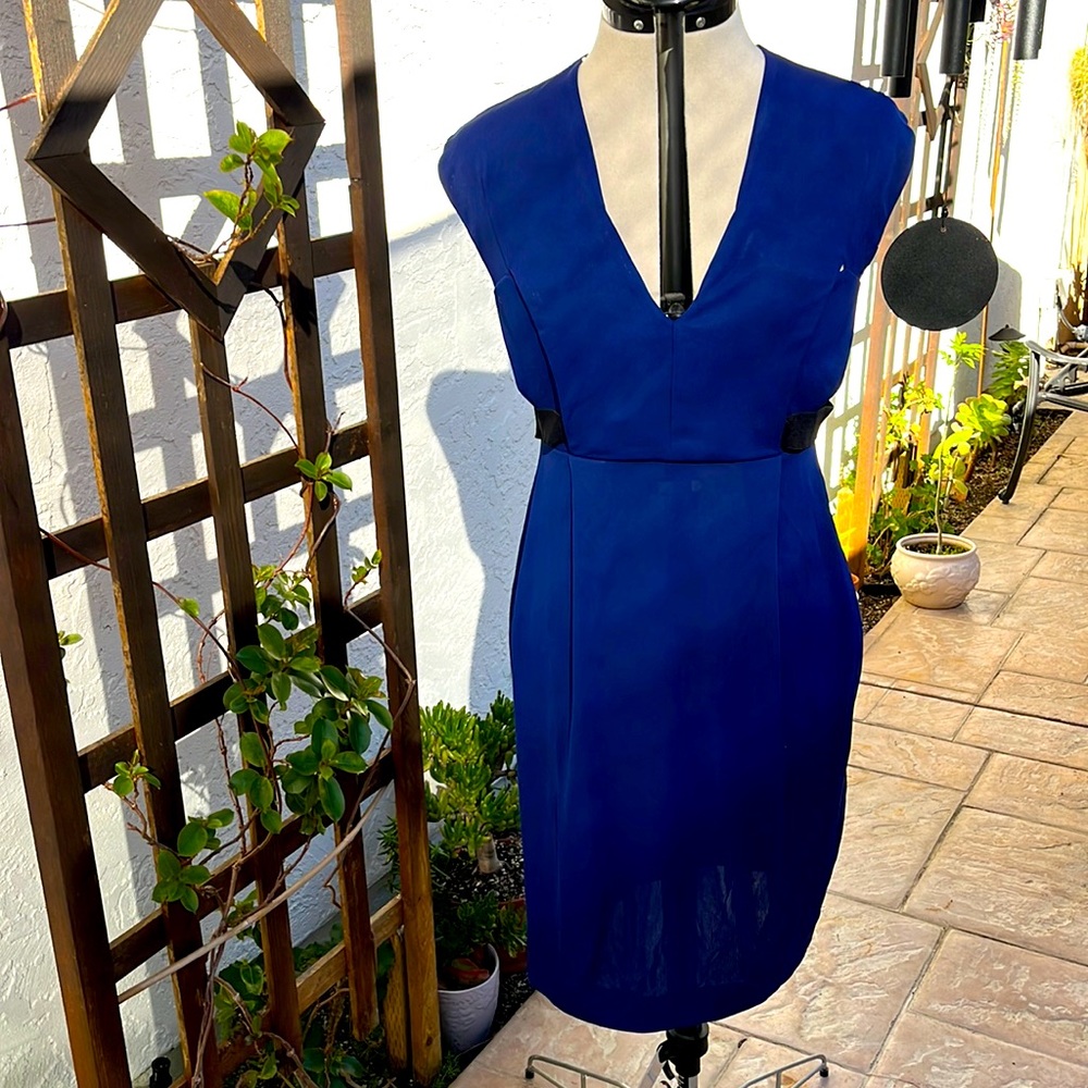 Whistles Vibrant Blue Dress